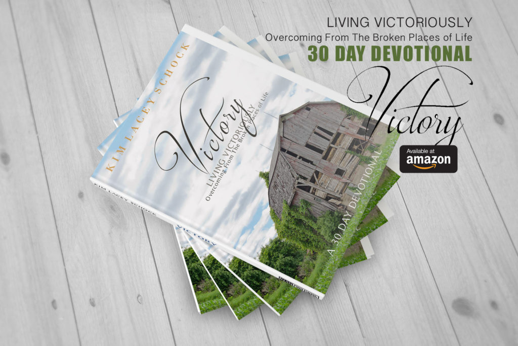 Click To Buy My Devotional At Amazon – Kim Lacey Schock